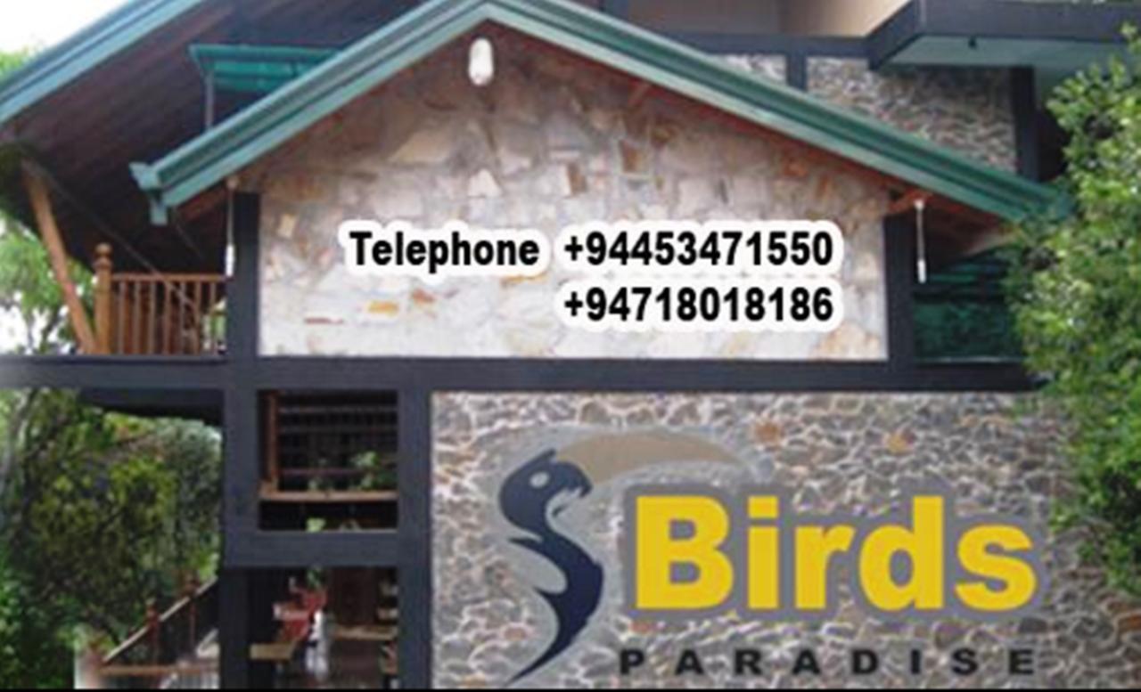 Birds Paradise Hotel Kudawe Exterior foto